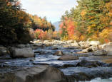 Fall scene.